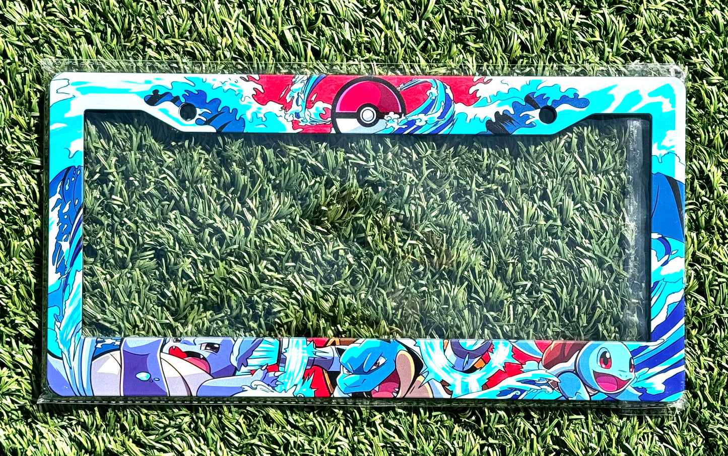 LICENSE PLATE FRAME 🔥🌊