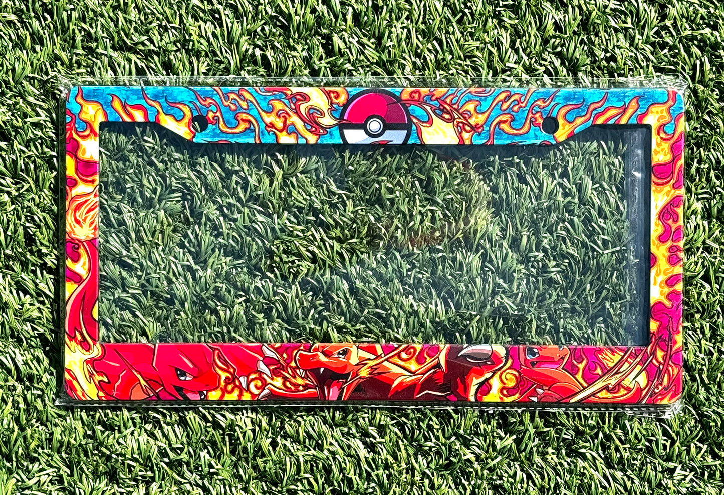 LICENSE PLATE FRAME 🔥🌊